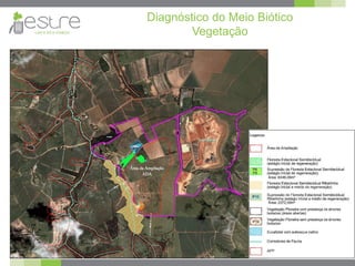 Diagnóstico do Meio Biótico
Vegetação
 