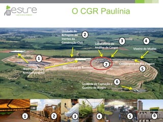 O CGR Paulínia
Viveiro de Mudas
Cooperativa de Reciclagem
Unidade de Captação e
Queima de Biogás
Unidade de
Britagem de
Inertes da
Construção Civil
Unidade
Biorremediação
Armazenamento
Disposição de Resíduos
Laboratório de
Análise de Cargas
1
7
6
2
3 4
5
6
21 3 4 5
 