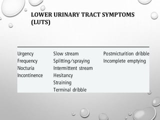 LOWER URINARY TRACT SYMPTOMS
(LUTS)
 