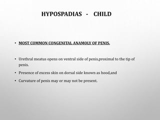 HYPOSPADIAS - CHILD
• MOST COMMON CONGENITAL ANAMOLY OF PENIS.
• Urethral meatus opens on ventral side of penis,proximal to the tip of
penis.
• Presence of excess skin on dorsal side known as hood,and
• Curvature of penis may or may not be present.
 