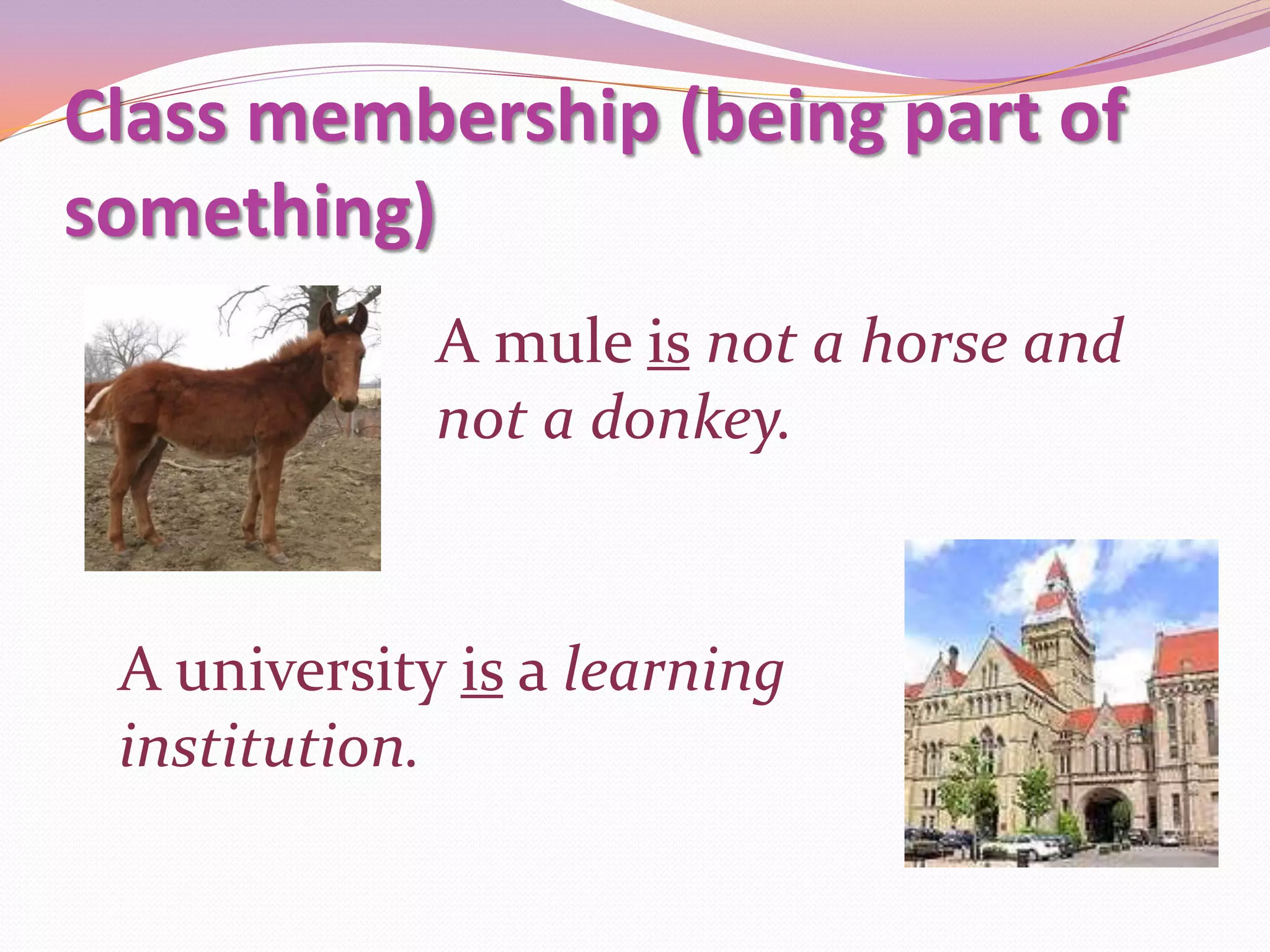 Class membership (being part of
something)
             A mule is not a horse and
             not a donkey.


 A university is a learning
 institution.
 