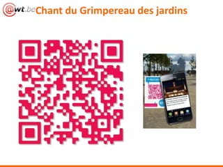 Chant du Grimpereau des jardins
 