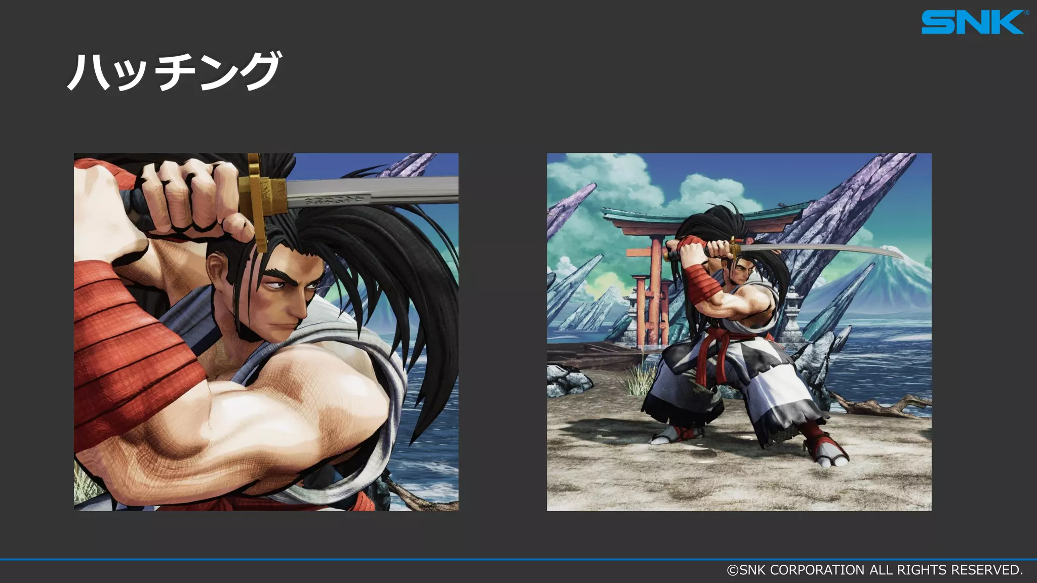 ©SNK CORPORATION ALL RIGHTS RESERVED.
ハッチング
 