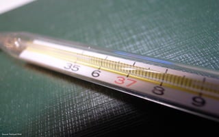 Daniel Crawford University of Minnesota
 