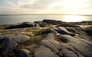 Source: Miriam Mezzera
 