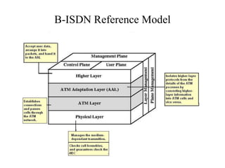 B-ISDN Reference Model
 
