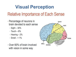 ch-1.2 elements of visualperception.pptx