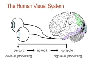 ch-1.2 elements of visualperception.pptx
