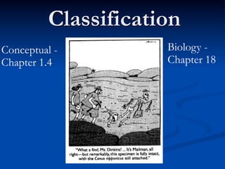 Classification
Conceptual -          Biology -
Chapter 1.4           Chapter 18
 