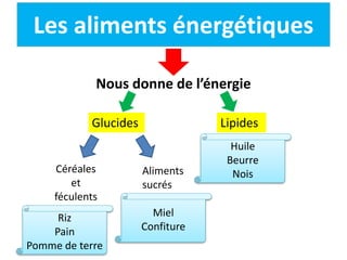 Les aliments énergétiques
Nous donne de l’énergie
Glucides Lipides
Céréales
et
féculents
Aliments
sucrés
Riz
Pain
Pomme de terre
Miel
Confiture
Huile
Beurre
Nois
 