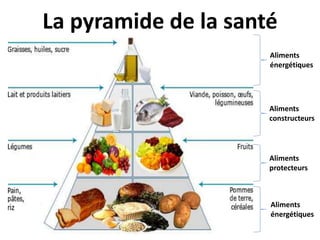 La pyramide de la santé
Aliments
énergétiques
Aliments
constructeurs
Aliments
protecteurs
Aliments
énergétiques
 