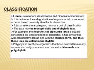Linneaus Classification Example Ch 1- the living world | PPTX