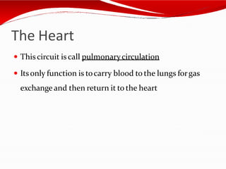 The Heart
 This circuit is call pulmonarycirculation
 Itsonly function is tocarry blood to the lungs forgas
exchange and then return it to the heart
 