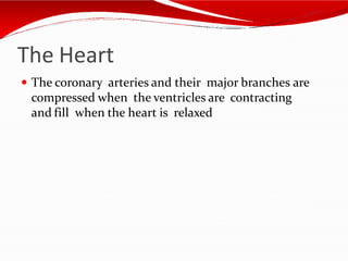 The Heart
 The coronary arteries and their major branches are
compressed when the ventricles are contracting
and fill when the heart is relaxed
 