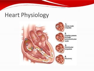 Heart Physiology
 