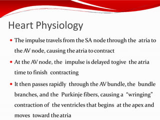 Heart Physiology
 The impulse travels from the SA node through the atria to
the AV node, causing theatria tocontract
 At the AVnode, the impulse is delayed togive the atria
time to finish contracting
 It then passes rapidly through the AVbundle,the bundle
branches, and the Purkinje fibers, causing a “wringing”
contraction of the ventricles that begins at the apex and
moves toward theatria
 