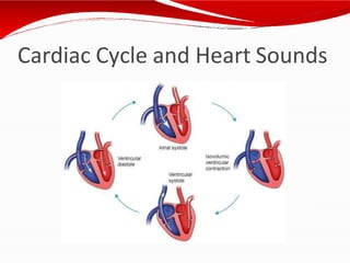 Cardiac Cycle and Heart Sounds
 