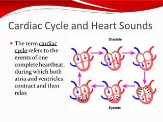 Cardiac Cycle and Heart Sounds
 The term cardiac
cycle refers to the
events of one
complete heartbeat,
during which both
atria and ventricles
contract and then
relax
 