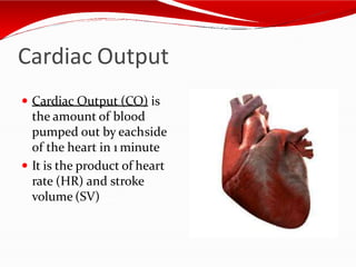 Cardiac Output
 Cardiac Output (CO) is
the amount of blood
pumped out by eachside
of the heart in 1 minute
 It is the product of heart
rate (HR) and stroke
volume (SV)
 