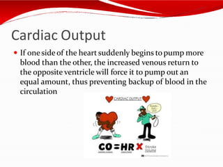 Cardiac Output
 If one side of the heart suddenly begins to pump more
blood than the other, the increased venous return to
the opposite ventricle will force it to pump out an
equal amount, thus preventing backup of blood in the
circulation
 