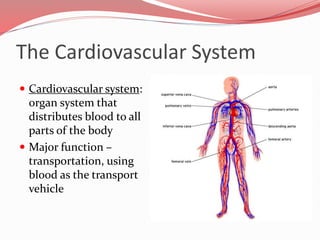 The Cardiovascular System
 This system carries oxygen, nutrients, cell wastes,
hormones and other substances vital for bo...