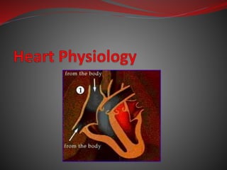 Heart Physiology
 Although cardiac muscle
can beat independently,
the muscle cells on
different areas of the heart
have d...