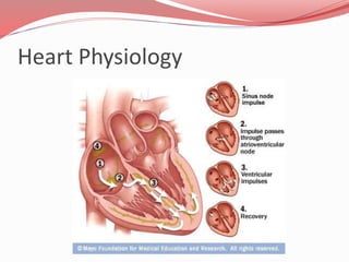 Heart Physiology
 This contraction effectively ejects blood superiorly into
the large arteries leaving the heart
 