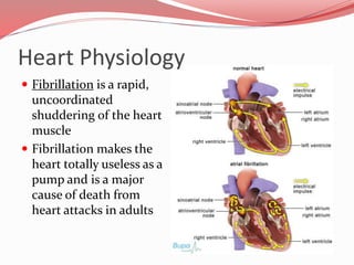 Cardiac Cycle and Heart Sounds
 