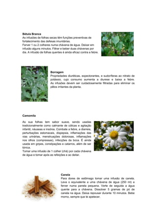 Bétula Branca
As infusões de folhas secas têm funções preventivas de
fortalecimento das defesas imunitárias.
Ferver 1 ou 2 colheres numa chávena de água. Deixar em
infusão alguns minutos. Filtrar e beber duas chávenas por
dia. A infusão de folhas quentes é ainda eficaz contra a febre.

Borragem
Propriedades diuréticas, expectorantes, e sudoríferas ao nitrato de
potássio, cujo consumo aumenta a diurese e baixa a febre.
As infusões devem ser cuidadosamente filtradas para eliminar os
pêlos irritantes da planta.

Camomila
As sua folhas tem sabor suave, sendo usadas
tradicionalmente como calmante de cólicas e agitação
infantil, náuseas e insónia. Combate a febre, a diarreia,
perturbações estomacais, dispepsia, inflamações das
vias urinárias, menstruações dolorosas, inflamações
nos olhos (compressas), infecções da boca. É ainda
usada em gripes, constipações e catarros, além de ser
tónica.
Tomar uma infusão de 1 colher (chá) por cada chávena
de água e tomar após as refeições e ao deitar.

Canela
Para dores de estômago tomar uma infusão de canela.
Leva o equivalente a uma chávena de água (250 ml) a
ferver numa panela pequena. Verte de seguida a água
quente para a chávena. Dissolver 5 gramas de pó de
canela na água. Deixa repousar durante 10 minutos. Bebe
morno, sempre que te apetecer.

 