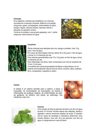 Carqueja
Erva digestiva, indicada para diabéticos, em anemias,
reumatismos e doenças venéreas. Melhora a circulação
sanguínea, gripes, constipações, enfermidades do baço,
bexiga e fígado, cálculos biliares, diarreias, febres e
afecções do aparelho urinário.
Toma-se à vontade e usa-se para gargarejo, com 1 colher
(sopa) por cada chávena de água.

Cavalinha
Planta indicada para afecções dos rins, bexiga e próstata. Usar 10 g
para 1 litro de água.
Em casos de hemorragias internas utilizar 30 a 40 g para 1 litro de água
e tomar 4 a 5 chávenas por dia.
Para edemas generalizados usar 10 a 15 g para um litro de água, tomar
4 chávenas por dia.
Para inflamação nos olhos, fazer compressas com chá de cavalinha de
15 em 15 minutos.
A cavalinha tem ainda propriedades diuréticas e depurativas e é um
potente remineralizante natural (rica em silício, enxofre, cálcio, potássio,
ferro, manganésio, magnésio e sódio).

Cebola

A cebola é um óptimo remédio para o catarro, a tosse, a
rouquidão, as mucosidades, as supurações, as úlceras e
inflamações de qualquer espécie, as enfermidades da pele,
da garganta, do cérebro, dos ossos, do estômago, dos
intestinos e dos rins.

Coentro
Uma infusão de 40g de grânulos fervidos num litro de água
durante 10 minutos, tomado depois das refeições, facilita a
digestão e atenua eventuais estados de torpor. É também
útil em casos de aerofagia e metodismo abdominal. Uma
infusão idêntico, mas com 30 g de grânulos num litro de
água, é coadjuvante em caso de febre.

 