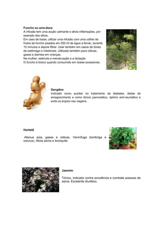 Funcho ou anis-doce
A infusão tem uma acção calmante e alivia inflamações, por
exemplo dos olhos.
Em caso de tosse, utilizar uma infusão com uma colher de
frutos de funcho pisados em 250 ml de água a ferver, durante
10 minutos e depois filtrar. Usar também em casos de dores
de estômago e intestinais. Utilizado também para cólicas,
gases e diarreia em crianças.
Na mulher, estimula a menstruação e a lactação.
O funcho é tóxico quando consumido em doses excessivas.

Gengibre
Indicado como auxiliar no tratamento da diabetes, dietas de
emagrecimento e como tónico pancreático, óptimo anti-reumático e
evita os enjoos nas viagens.

Hortelã
Atenua azia, gases e cólicas. Vermífuga (lombriga e
oxiurus). Alivia asma e bronquite.

Jasmim
Tónico, indicado contra sonolência e combate acessos de
asma. Excelente diurético.

 