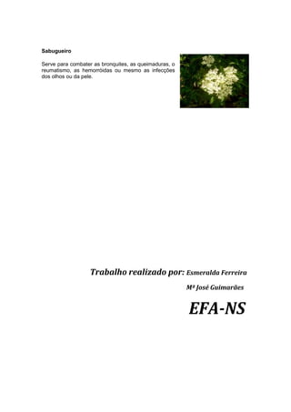 Sabugueiro
Serve para combater as bronquites, as queimaduras, o
reumatismo, as hemorróidas ou mesmo as infecções
dos olhos ou da pele.

Trabalho realizado por: Esmeralda Ferreira
Mª José Guimarães

EFA-NS

 