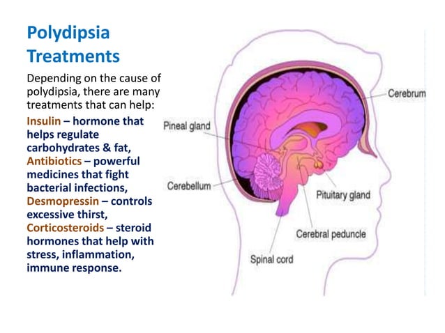 Ch. 11 polydipsia | PPTX