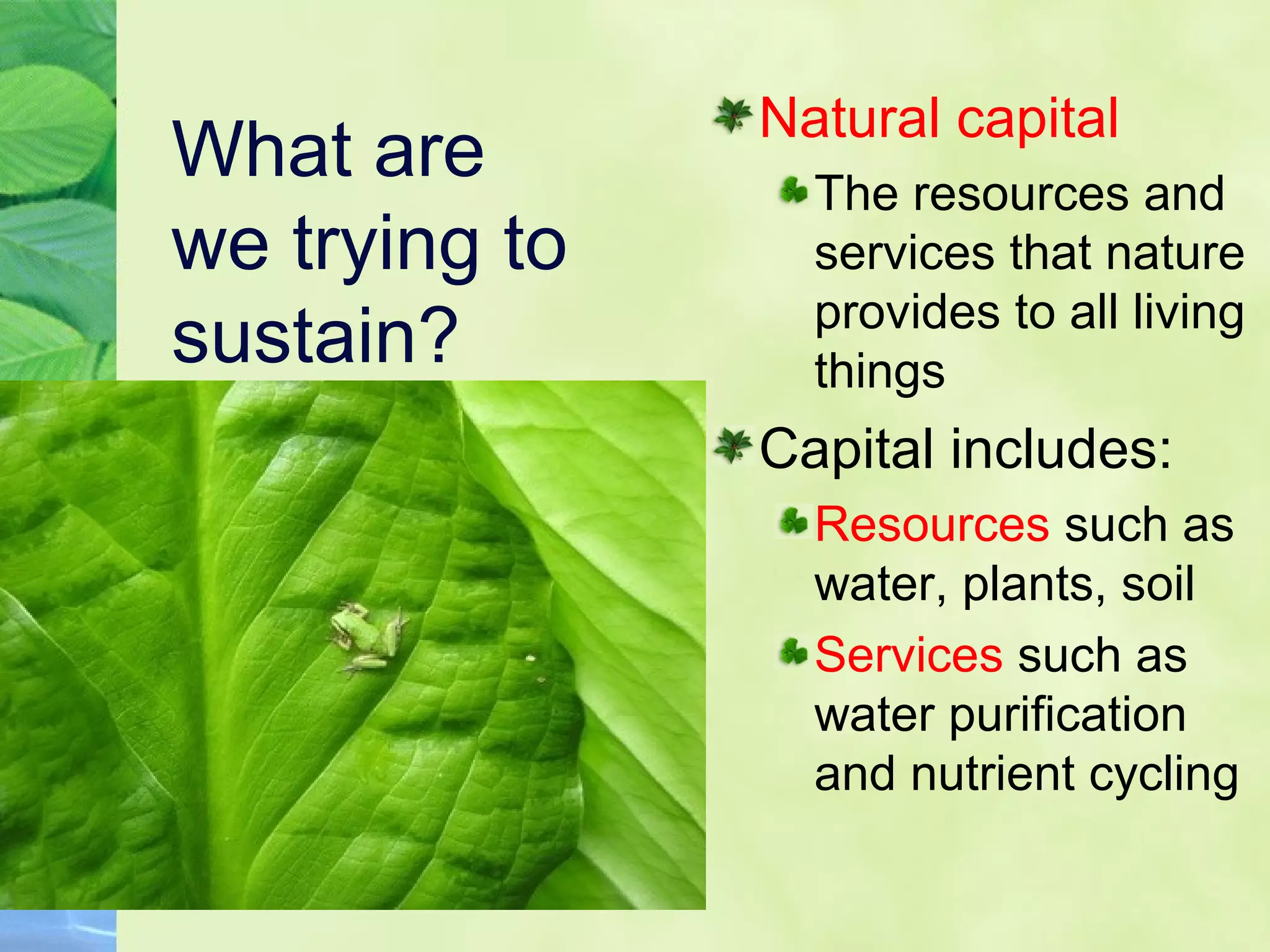 What are
we trying to
sustain?
Natural capital
The resources and
services that nature
provides to all living
things
Capital includes:
Resources such as
water, plants, soil
Services such as
water purification
and nutrient cycling
 