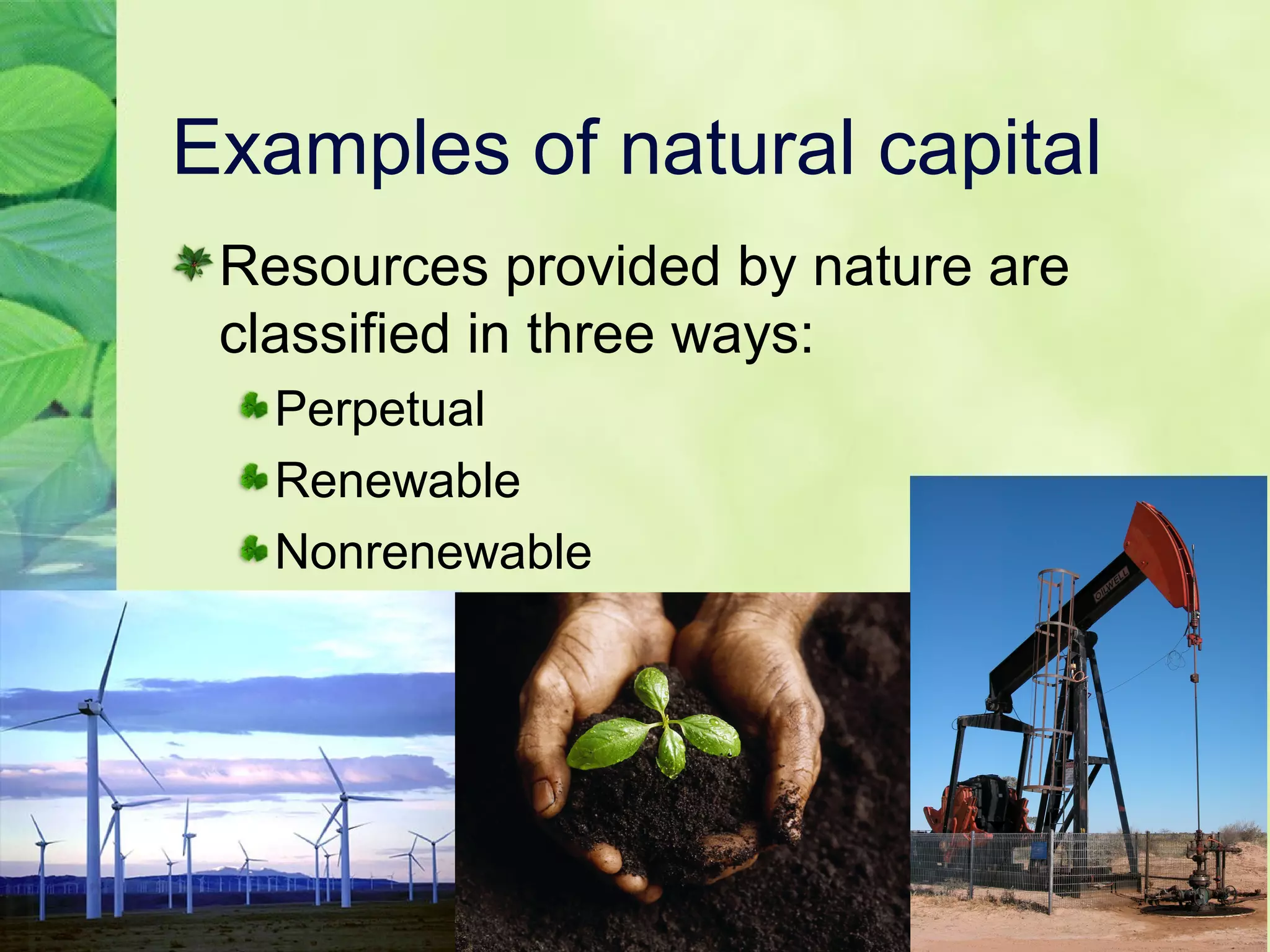 Examples of natural capital
Resources provided by nature are
classified in three ways:
Perpetual
Renewable
Nonrenewable
 