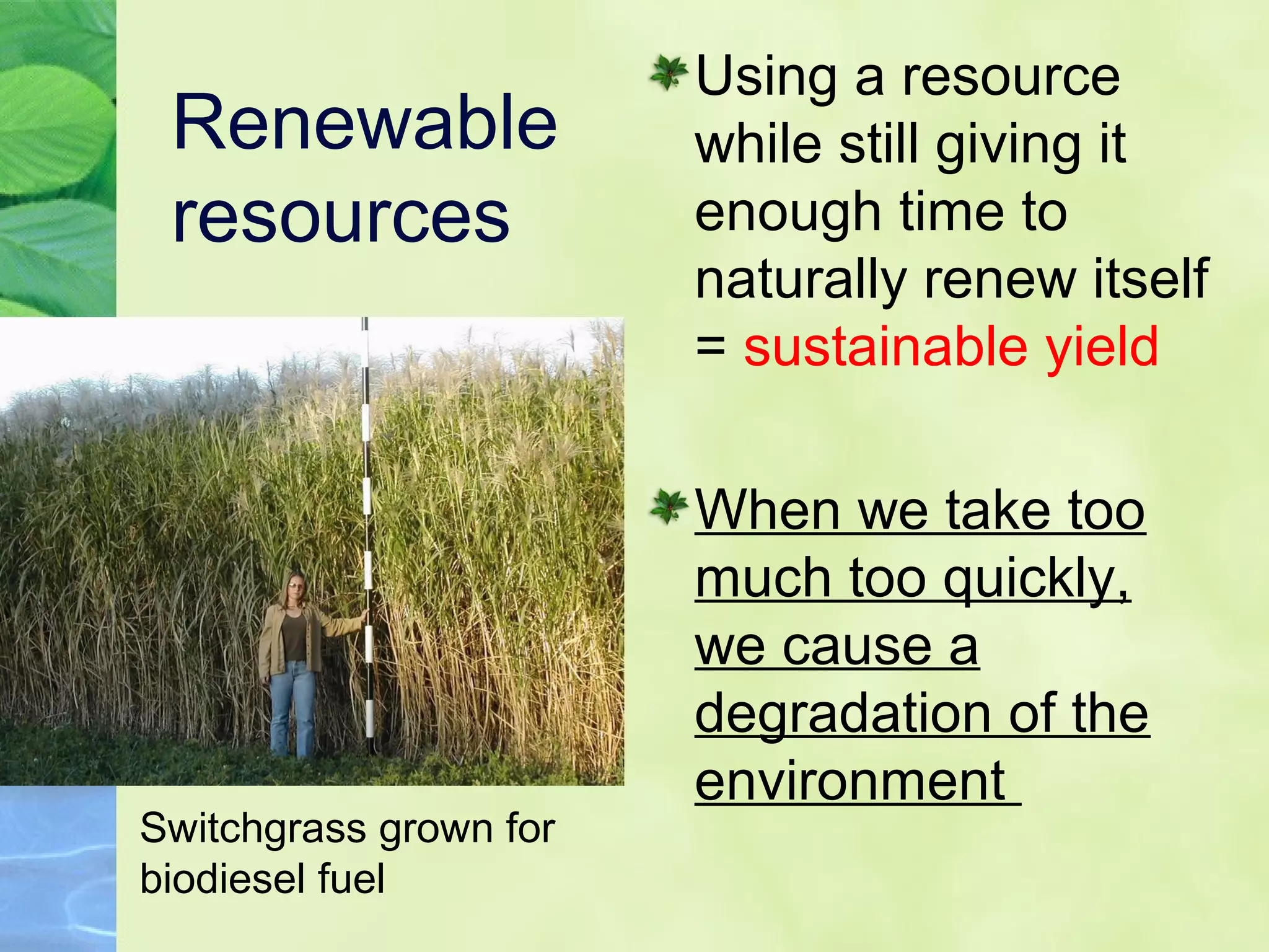 Renewable
resources
Using a resource
while still giving it
enough time to
naturally renew itself
= sustainable yield
When we take too
much too quickly,
we cause a
degradation of the
environment
Switchgrass grown for
biodiesel fuel
 