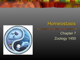 Homeostasis
Chapter 7
Zoology 1450

 