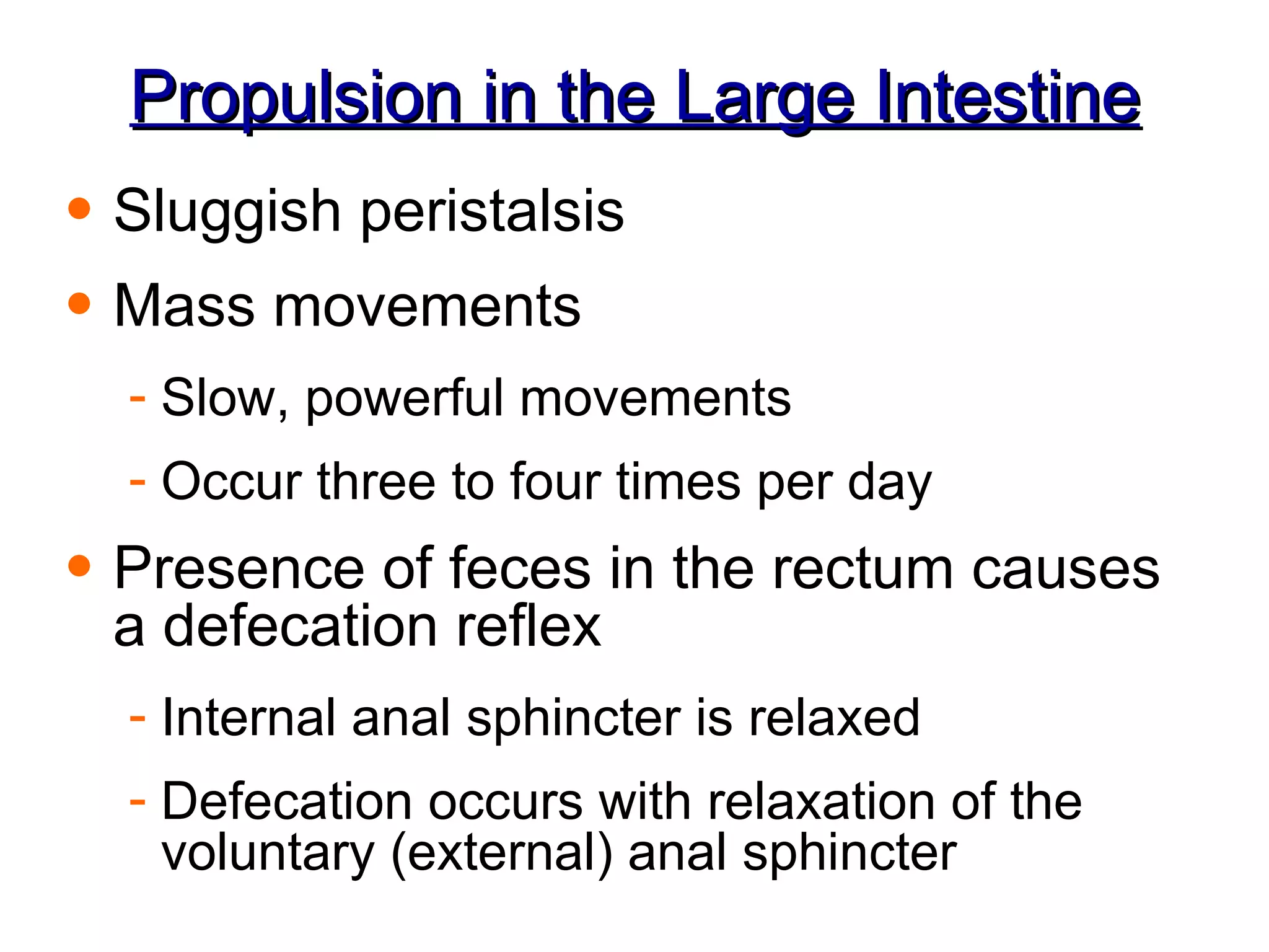 Propulsion in the Large Intestine Sluggish peristalsis Mass movements Slow, powerful movements Occur three to four times per day Presence of feces in the rectum causes a defecation reflex Internal anal sphincter is relaxed Defecation occurs with relaxation of the voluntary (external) anal sphincter 