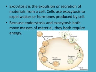 • Exocytosis is the expulsion or secretion of
materials from a cell. Cells use exocytosis to
expel wastes or hormones produced by cell.
• Because endocytosis and exocytosis both
move masses of material, they both require
energy.

 