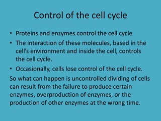 Control of the cell cycle
• Proteins and enzymes control the cell cycle
• The interaction of these molecules, based in the
cell’s environment and inside the cell, controls
the cell cycle.
• Occasionally, cells lose control of the cell cycle.
So what can happen is uncontrolled dividing of cells
can result from the failure to produce certain
enzymes, overproduction of enzymes, or the
production of other enzymes at the wrong time.

 