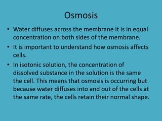 Osmosis
• Water diffuses across the membrane it is in equal
concentration on both sides of the membrane.
• It is important to understand how osmosis affects
cells.
• In isotonic solution, the concentration of
dissolved substance in the solution is the same
the cell. This means that osmosis is occurring but
because water diffuses into and out of the cells at
the same rate, the cells retain their normal shape.

 