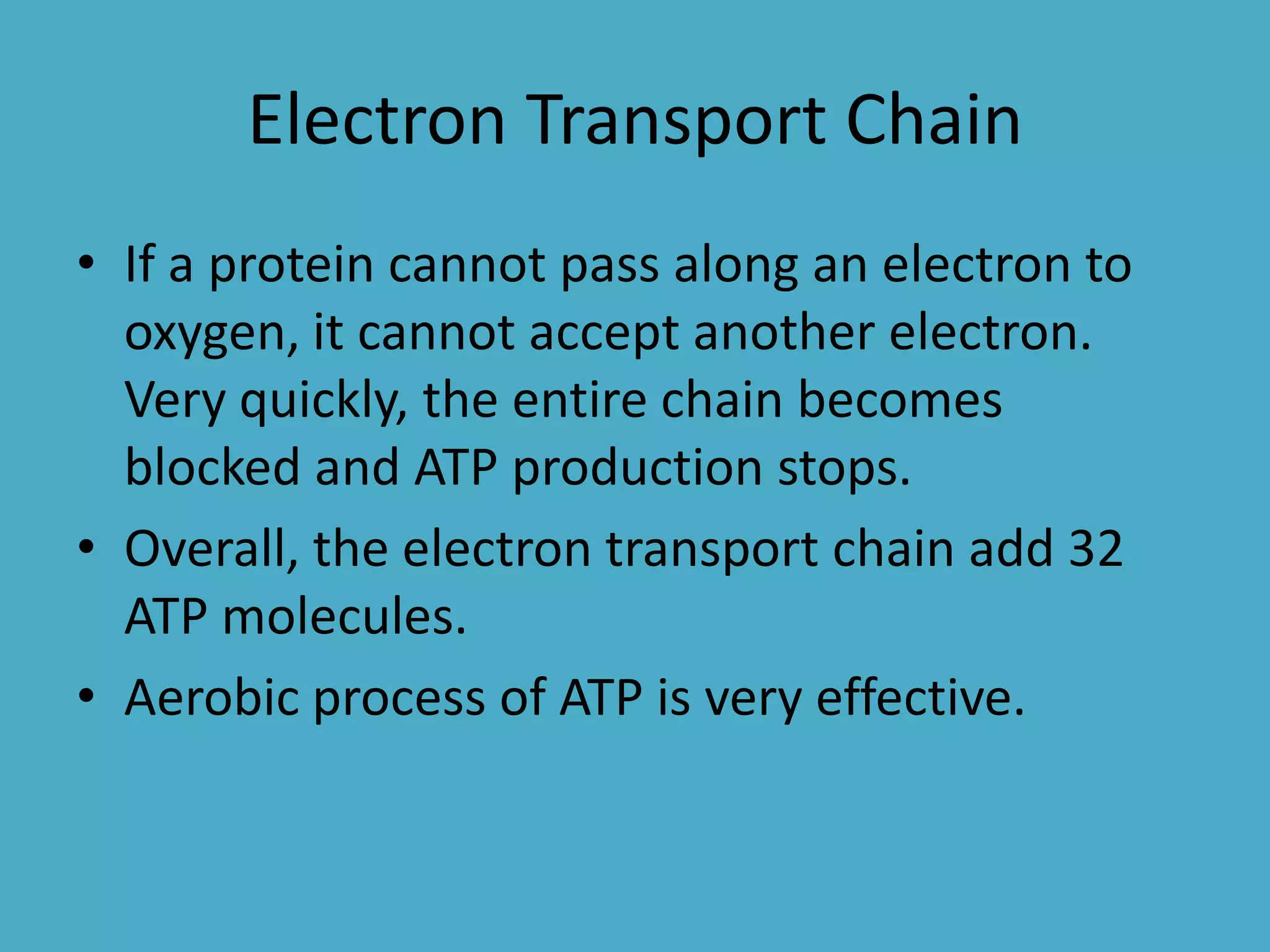 Electron Transport Chain
• If a protein cannot pass along an electron to
oxygen, it cannot accept another electron.
Very quickly, the entire chain becomes
blocked and ATP production stops.
• Overall, the electron transport chain add 32
ATP molecules.
• Aerobic process of ATP is very effective.

 