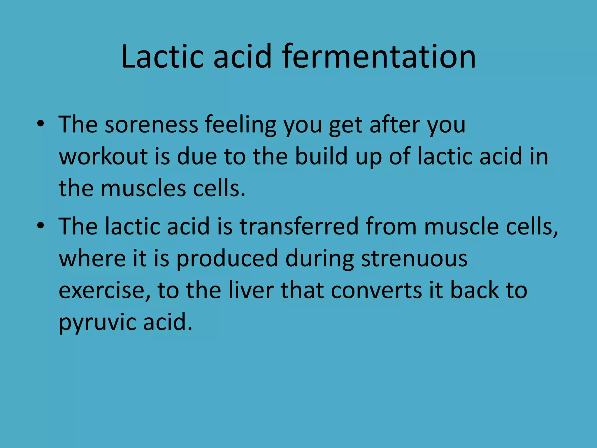 Lactic acid fermentation
• The soreness feeling you get after you
workout is due to the build up of lactic acid in
the muscles cells.
• The lactic acid is transferred from muscle cells,
where it is produced during strenuous
exercise, to the liver that converts it back to
pyruvic acid.

 