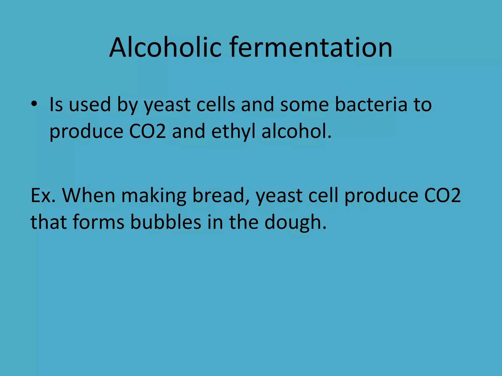 Alcoholic fermentation
• Is used by yeast cells and some bacteria to
produce CO2 and ethyl alcohol.
Ex. When making bread, yeast cell produce CO2
that forms bubbles in the dough.

 