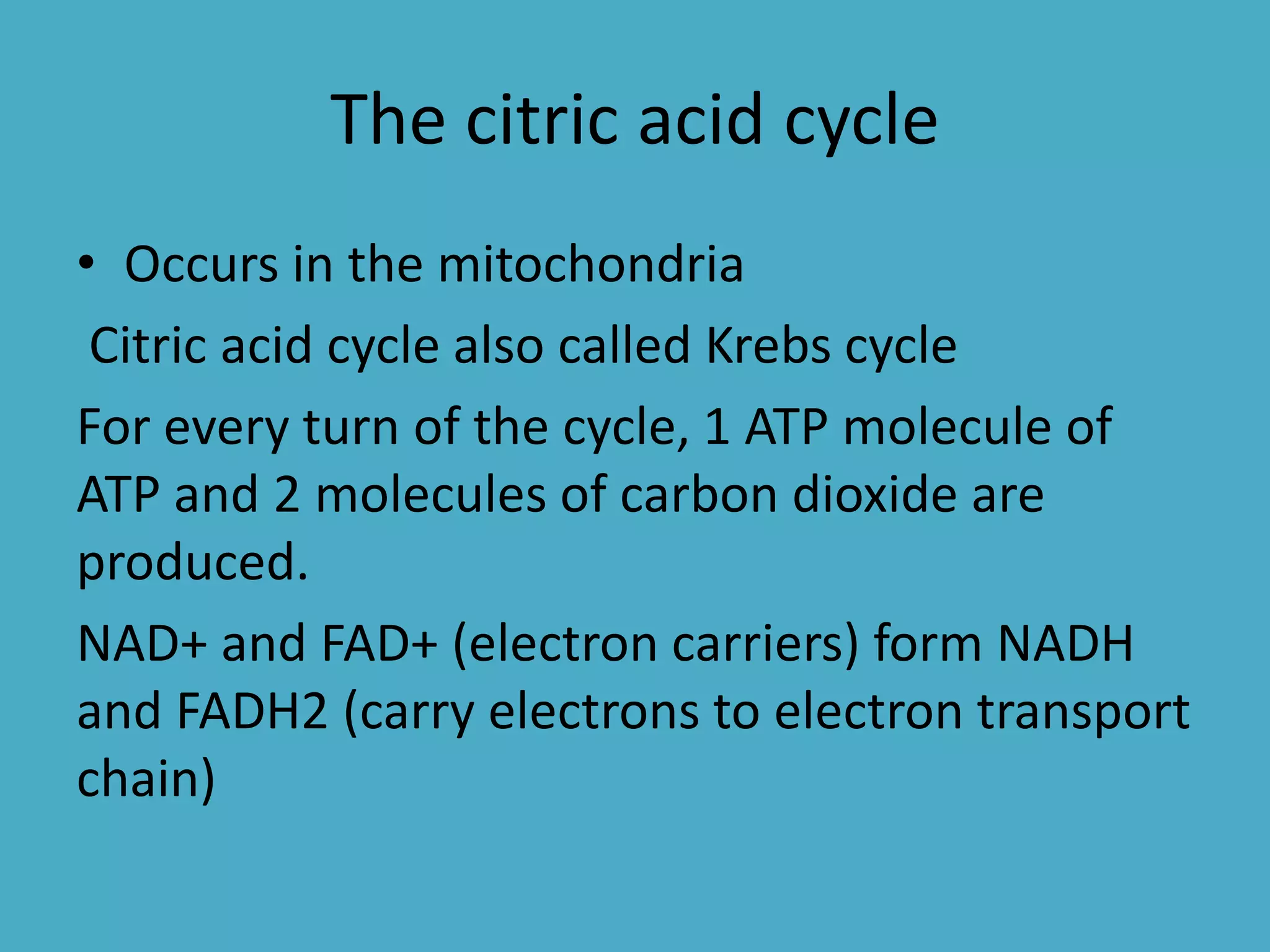The citric acid cycle
• Occurs in the mitochondria
Citric acid cycle also called Krebs cycle
For every turn of the cycle, 1 ATP molecule of
ATP and 2 molecules of carbon dioxide are
produced.
NAD+ and FAD+ (electron carriers) form NADH
and FADH2 (carry electrons to electron transport
chain)

 