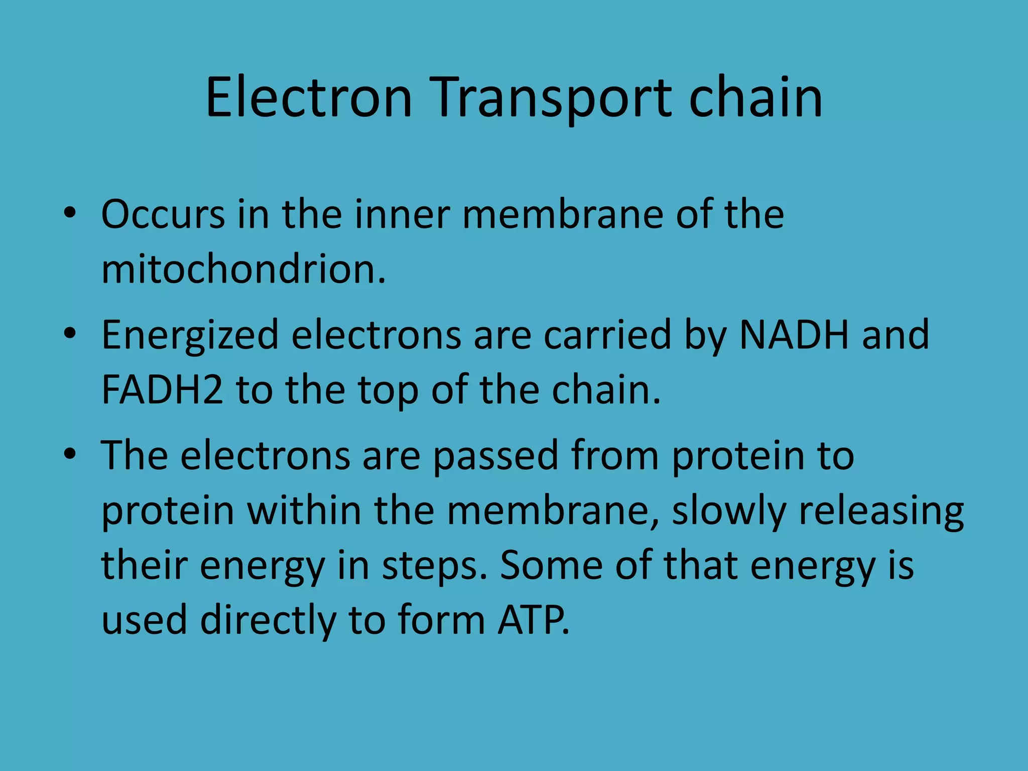 Electron Transport chain
• Occurs in the inner membrane of the
mitochondrion.
• Energized electrons are carried by NADH and
FADH2 to the top of the chain.
• The electrons are passed from protein to
protein within the membrane, slowly releasing
their energy in steps. Some of that energy is
used directly to form ATP.

 