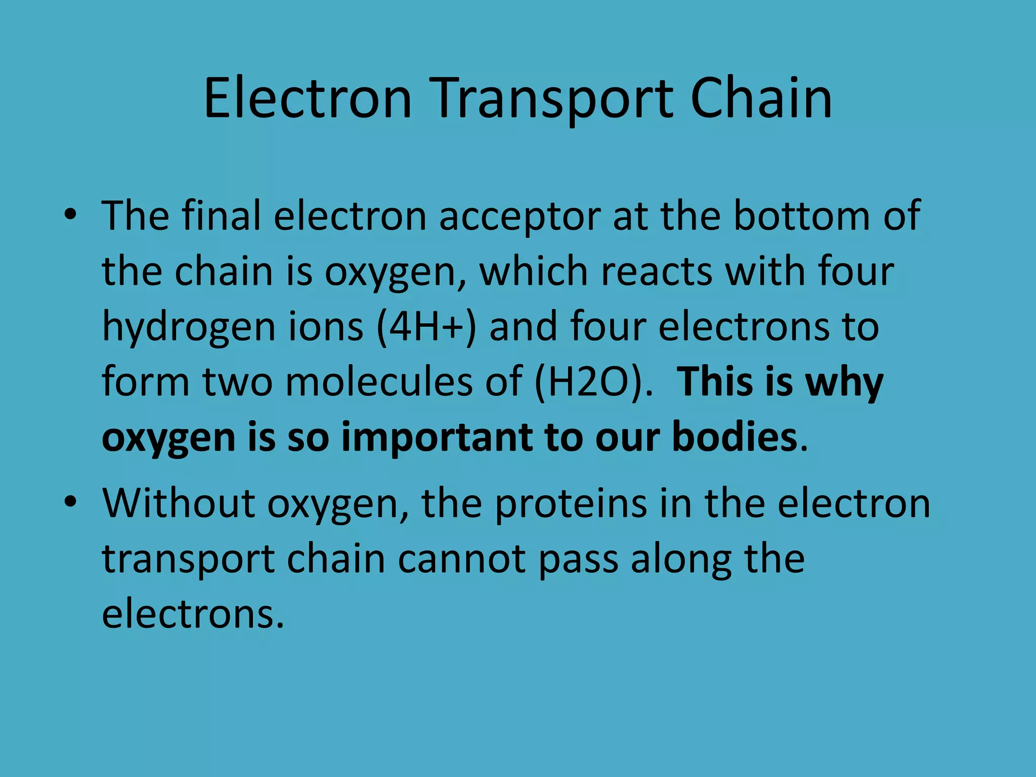 Electron Transport Chain
• The final electron acceptor at the bottom of
the chain is oxygen, which reacts with four
hydrogen ions (4H+) and four electrons to
form two molecules of (H2O). This is why
oxygen is so important to our bodies.
• Without oxygen, the proteins in the electron
transport chain cannot pass along the
electrons.

 