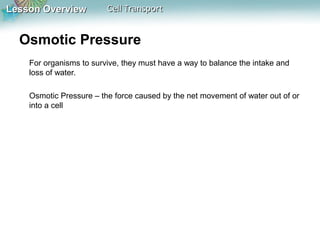 Lesson Overview

Cell Transport

Osmotic Pressure
For organisms to survive, they must have a way to balance the intake and
loss of water.
Osmotic Pressure – the force caused by the net movement of water out of or
into a cell

 