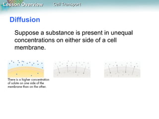 Lesson Overview

Cell Transport

Diffusion
Suppose a substance is present in unequal
concentrations on either side of a cell
membrane.

 