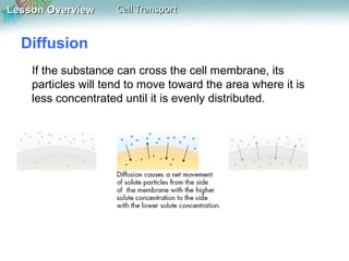 Lesson Overview

Cell Transport

Diffusion
If the substance can cross the cell membrane, its
particles will tend to move toward the area where it is
less concentrated until it is evenly distributed.

 